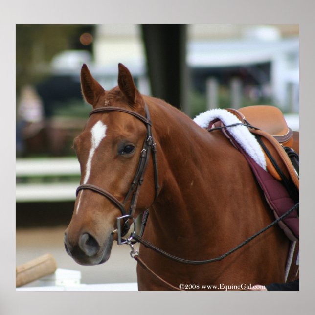 Diversified Artie Poster 2 (Front)