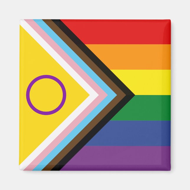 Diversity and Inclusion Progress Pride Flag Magnet (Front)