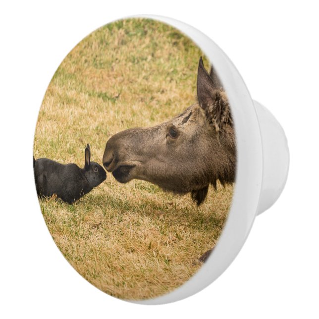 Diversity Ceramic Knob (Right)