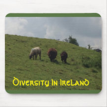 Diversity In Ireland Mousepad Irish