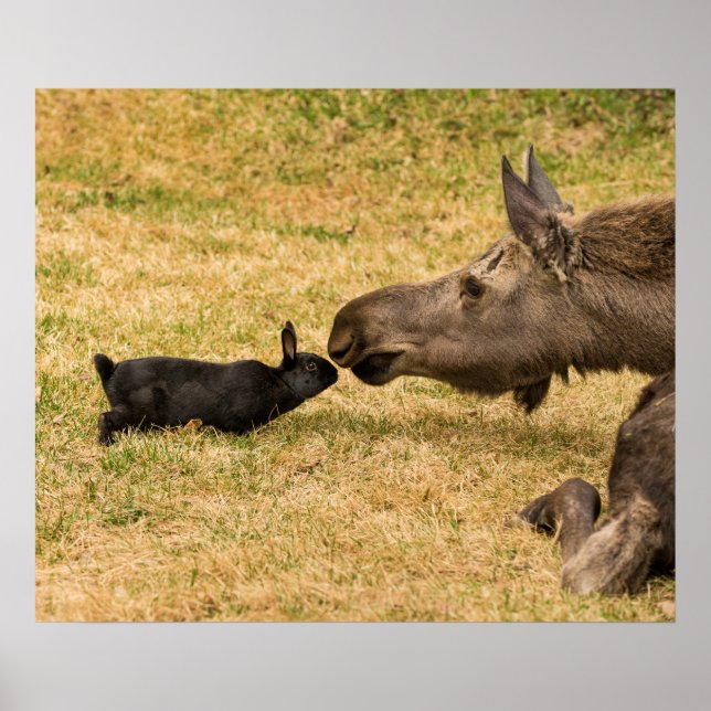 Diversity Poster (Front)