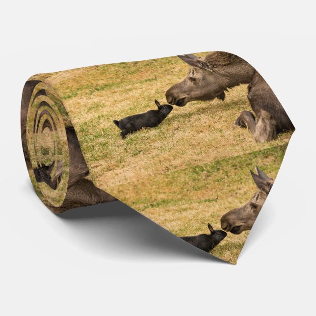 Diversity Tie (Rolled)