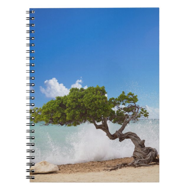 Divi Divi Tree, Eagle Beach, Aruba, Caribbean Spiral Notebook (Front)