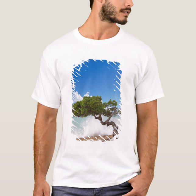 Divi Divi Tree, Eagle Beach, Aruba, Caribbean T-Shirt (Front)