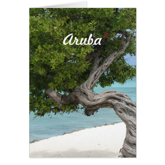 Divi Divi Tree in Aruba (Front)