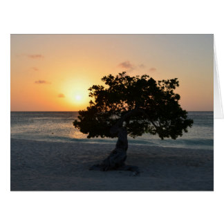 Divi Tree Sunset