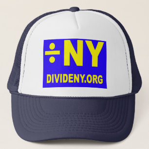 Divide NYS hat