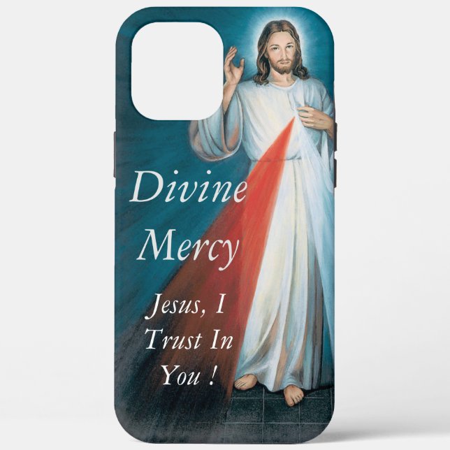 Divine Mercy Case-Mate iPhone Case (Back)