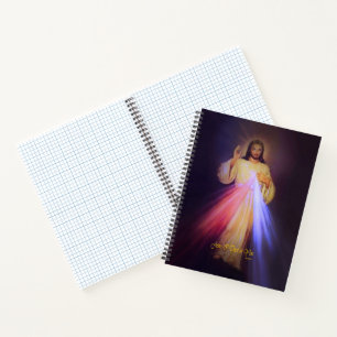 Divine Mercy Gold with Chaplet Prayer Notebook
