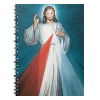 divine mercy spiral notebook