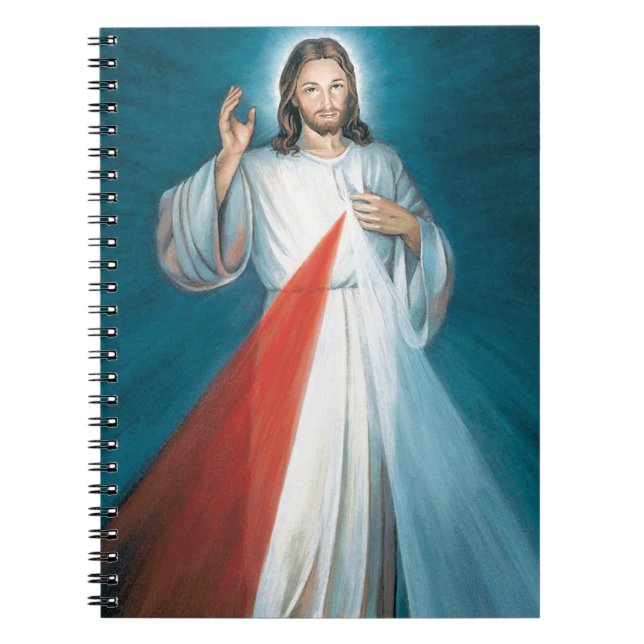 divine mercy spiral notebook (Front)