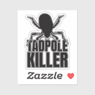 Diving Beetle Beetles Tadpole Killer – Entomology