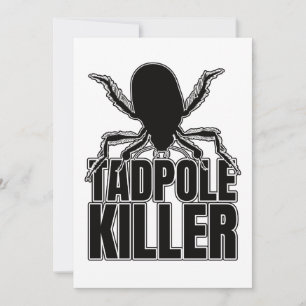 Diving Beetle Beetles Tadpole Killer – Entomology Invitation