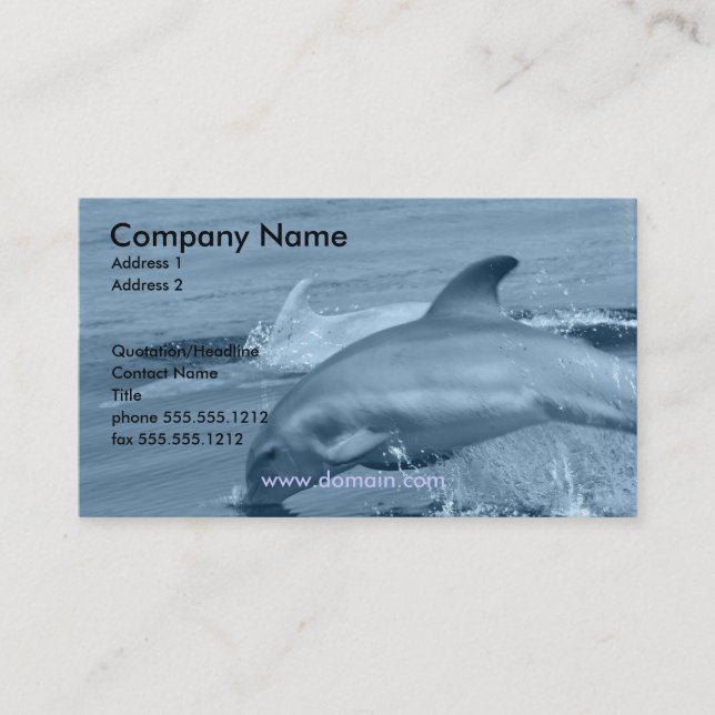 Diving Dolphin Business Card (Front)