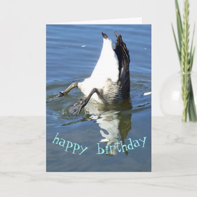 Diving goose Birthday Card (Front)