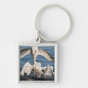 Diving Gulls Key Ring