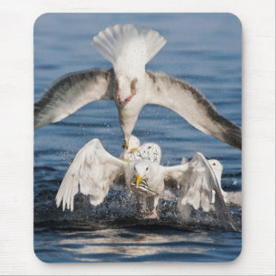 Diving Gulls Mouse Pad