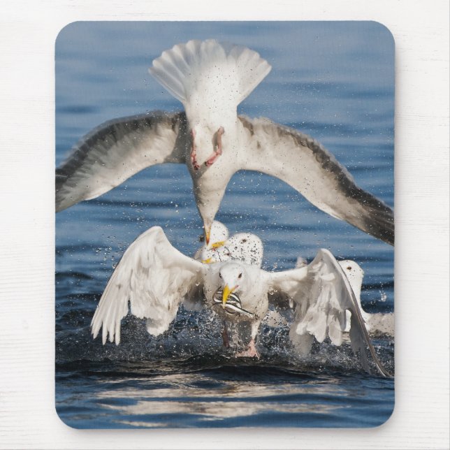 Diving Gulls Mouse Pad (Front)