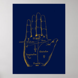 Division of the hand poster