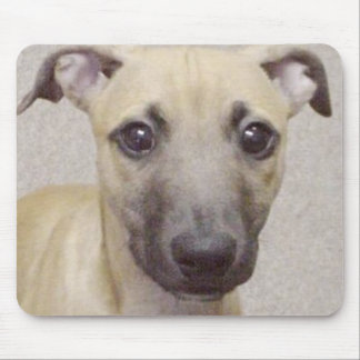 Divo Mouse Pad