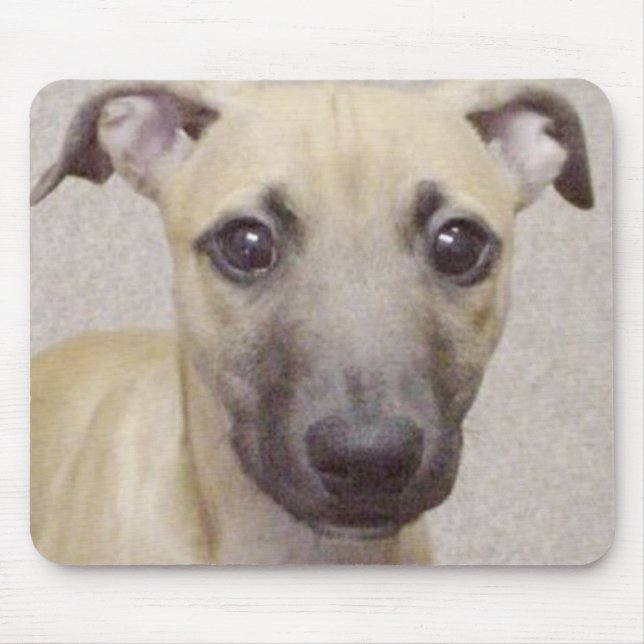 Divo Mouse Pad (Front)