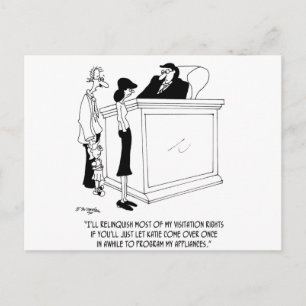 Divorce Cartoon 6485 Postcard
