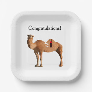 Divorce Party Paper Plates