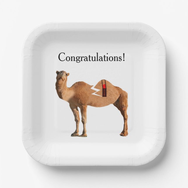 Divorce Party Paper Plates (Front)