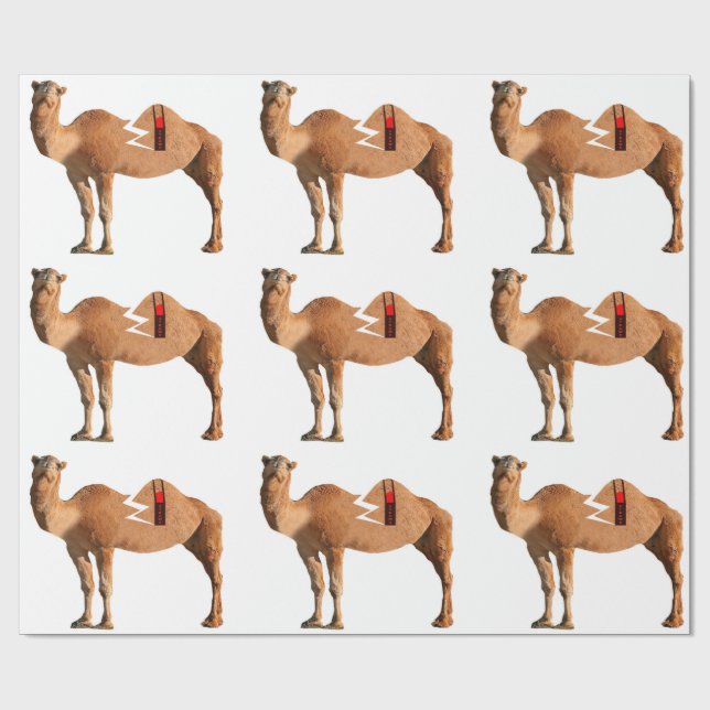 Divorce Wrapping Paper (Flat)