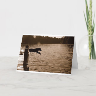 Dixie jumping from dock card