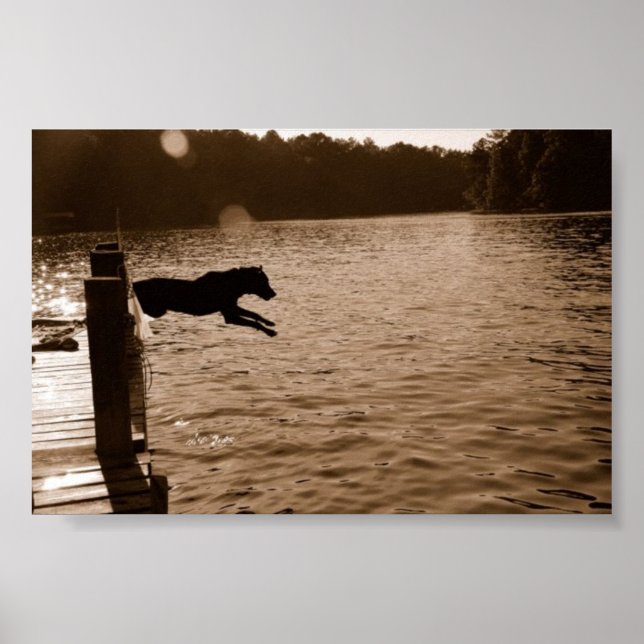 Dixie jumping off the dock poster (Front)