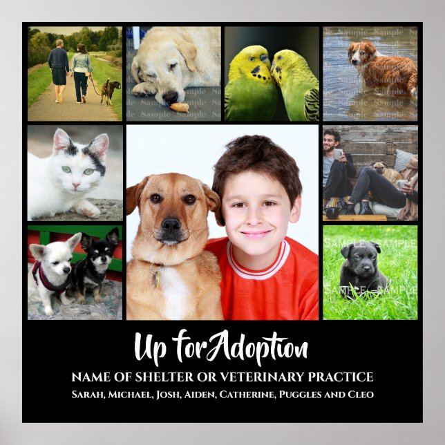 DIY 9 photo | Adopt animal shelter veterinary vet Poster (Front)