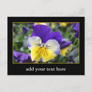 DIY, Create your own, add your picture or text. Postcard