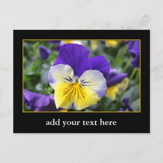 DIY, Create your own, add your picture or text. Postcard