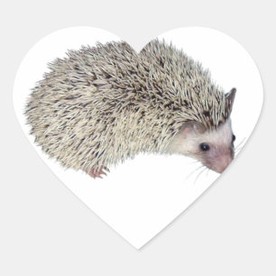DIY Hedgehog right Heart Sticker
