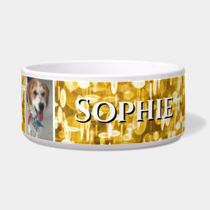 DIY Pet's Name & Photo, Glowing Gold Sequins, Vs 3