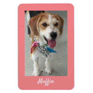 DIY Pet's Photo or Child's Photo & Name, Coral Magnet