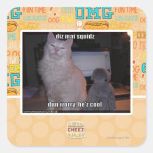 diz mai squidz square sticker