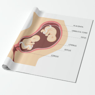 Dizygotic twin pregnancy wrapping paper