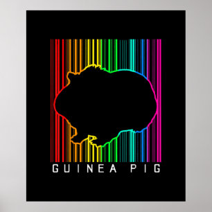DJ Guinea Pig Techno Edm Animal Rave Star Rainbow Poster