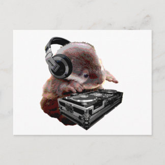 DJ None Otter Postcard