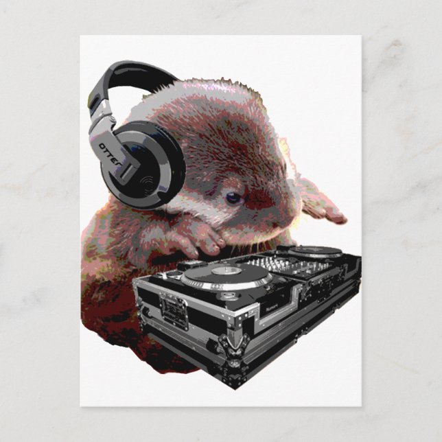 DJ None Otter Postcard (Front)
