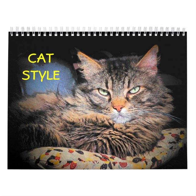 DJ's Cat Style Calendar (Cover)