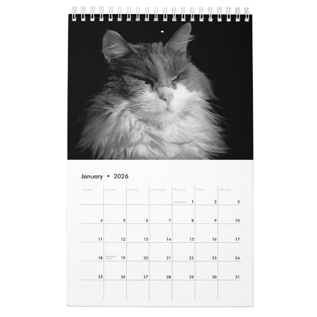 DJ's Cats One Page Calendar (Jan 2026)