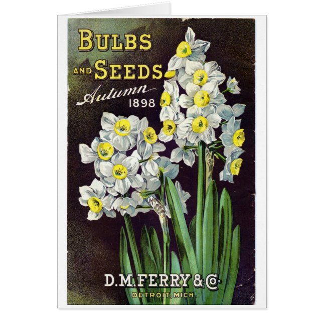 DM Ferry Seeds and Bulbs 1898 (Front)