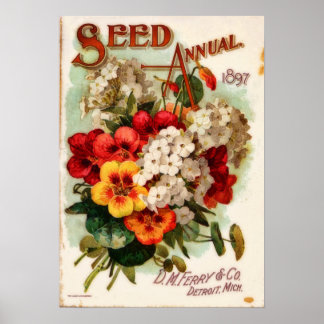 DM Ferry Vintage Flower Catalogue Advertisement Poster