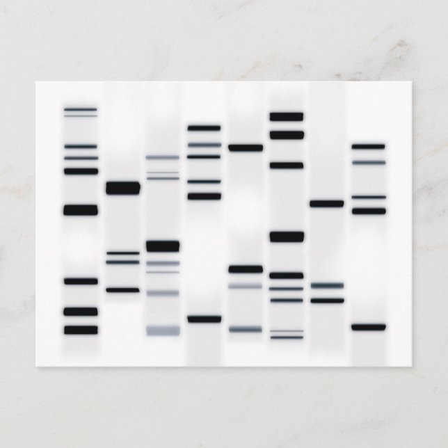 DNA Code Art Black on White Postcard (Front)