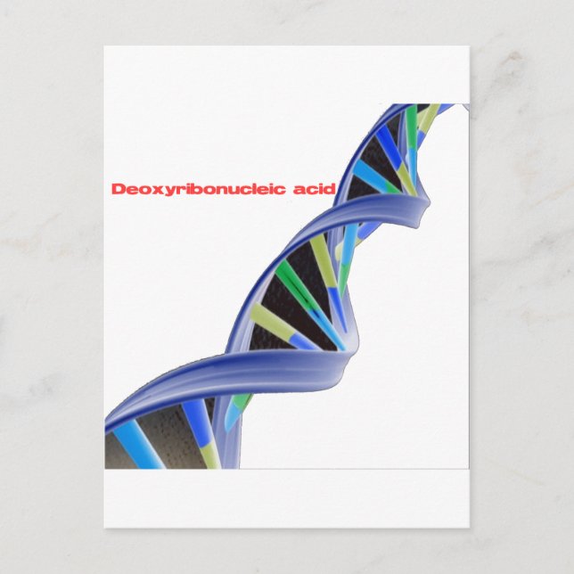 DNA - Deoxyribonucleic acid Postcard (Front)