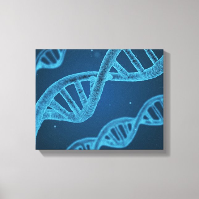 DNA Double Helix Canvas Print (Front)