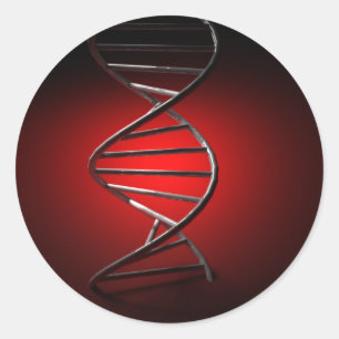 DNA Double Helix Classic Round Sticker